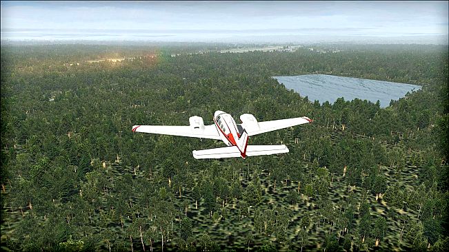 FSX: Steam Edition - Natural Tree Environment X Add-On