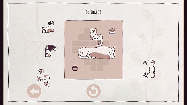 Cats Organized Neatly