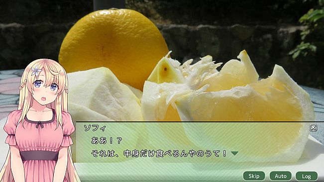 四国志でらっくす ～酒池肉うどん戦記～