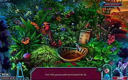 Fairy Godmother Stories: Cinderella Collector's Edition