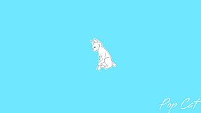 Pop Cat