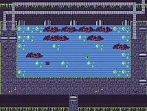 We Have To Let You Go