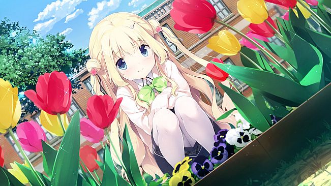 Koi x Shin Ai Kanojo