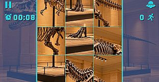 Puzzle Dinosaur Skeletons