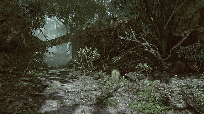 Remote Knights Online