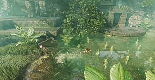 Joe Wander and the Enigmatic adventures