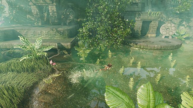 Joe Wander and the Enigmatic adventures