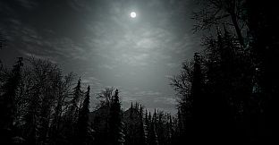 My Grandparents' Christmas Mystery