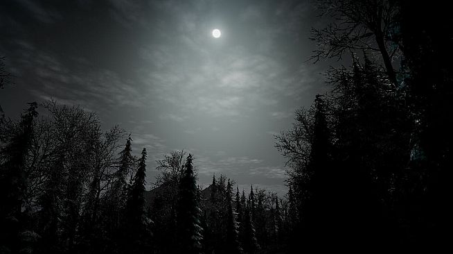 My Grandparents' Christmas Mystery