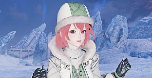 PSO2:NGS - Silver Peaks Kvaris Pack/Type 2 Pack