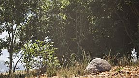 Stone Simulator – Just Be a Rock