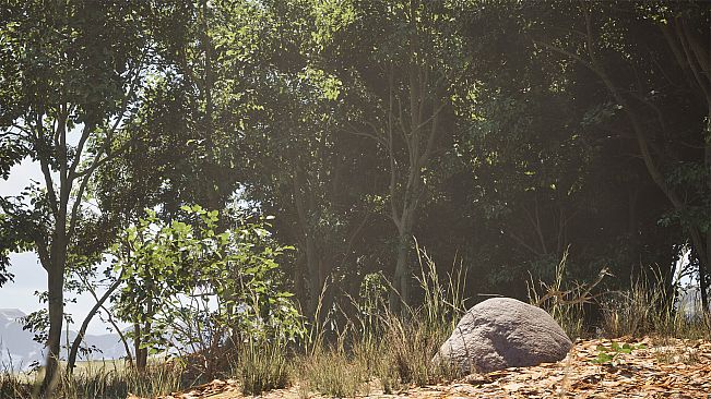 Stone Simulator – Just Be a Rock