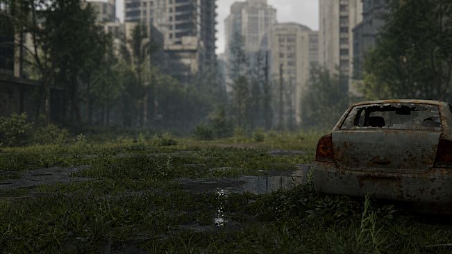 City 33