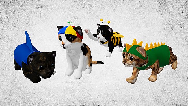 Capsa - Starter Pack