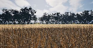 Deep in the Fields