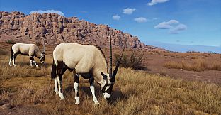 Way of the Hunter - Tikamoon Plains