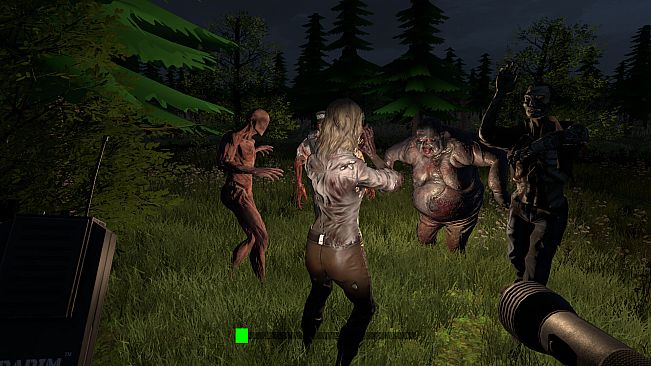 Echo's of the Dark Part 2 Escaping From Asylum