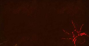 Chaordic - Scary Wallpaper pack