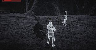 VeilRaun