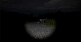 Disquiet Fields