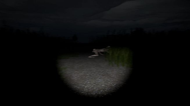Disquiet Fields
