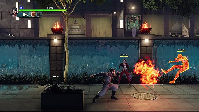 Double Dragon Revive - Deluxe Edition