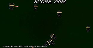 Ninja Soldier Raid