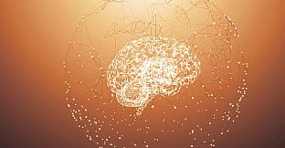 Artificial Intelligence Simulator