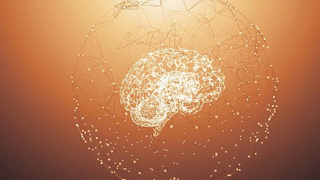 Artificial Intelligence Simulator