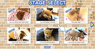 Shiba Mekuri 柴めくり