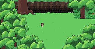 The Runemaster's Diary