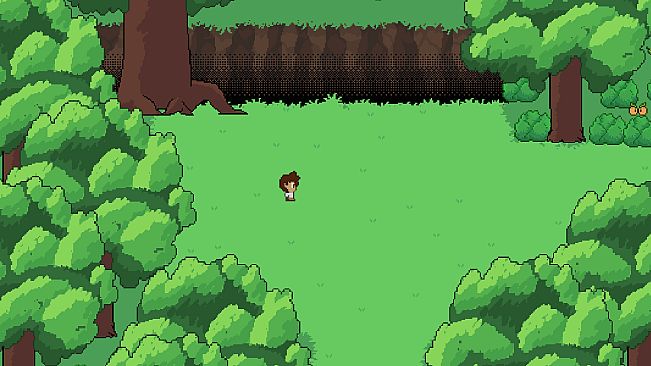 The Runemaster's Diary