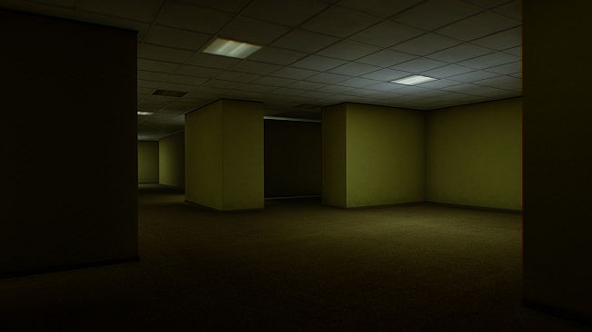 Backrooms of Reality