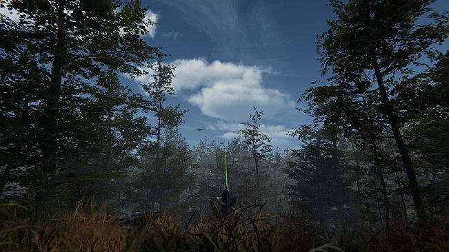 Deranged Park Rangers