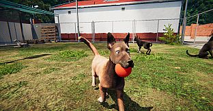 Animal Shelter: Prologue