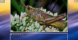 Super Jigsaw Puzzle: Generations - Bugs Puzzles