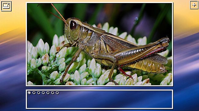 Super Jigsaw Puzzle: Generations - Bugs Puzzles