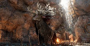 Last Reach