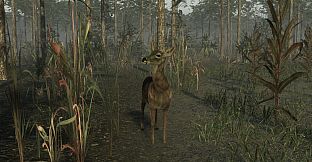 Pro Deer Hunting 2