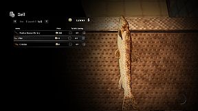 Raven Tear: Season 0 - Deluxe Edition