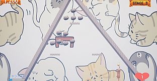 Challenge from the Black Cat