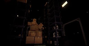 Have You Seen This Cat?