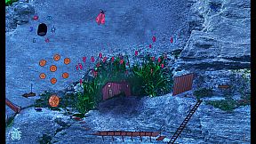 Dung Beetle Adventure