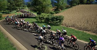 Pro Cycling Manager 26