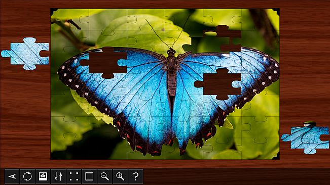 Jigsaw Puzzle World - Insects