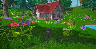 Wizards Owl: Magic Delivery