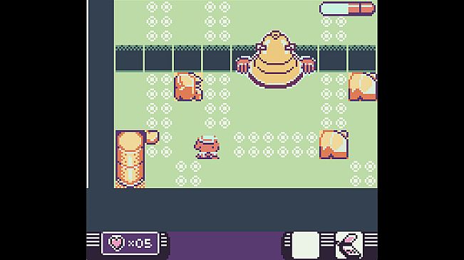 Toni Island Adventure