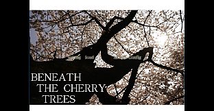 Beneath The Cherry Trees