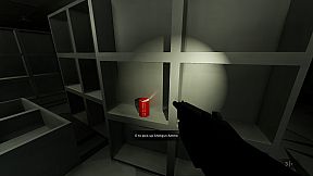 The SS Destiny Disaster