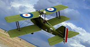 RealFlight Evolution - 2025 Year Content Pass